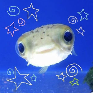 Meet your Posher, Zoe